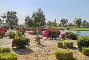 Single Family Residence, 61021 Desert Rose dr, La Quinta, CA 92253 - 41