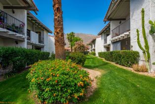 Condominium, 1050 Ramon rd, Palm Springs, CA 92264 - 29