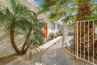 Residential Income, 1777 Arenas rd, Palm Springs, CA 92262 - 5