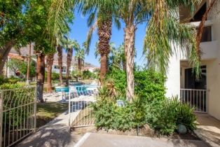 Condominium, 255 Avenida Granada, Palm Springs, CA 92264 - 13
