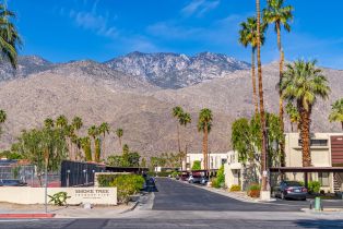 Condominium, 1655 Palm Canyon dr, Palm Springs, CA 92264 - 26