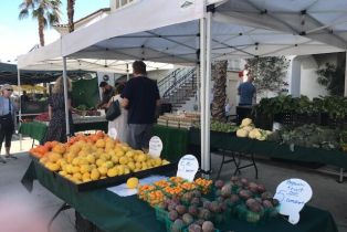 Condominium, 50750 Santa Rosa plz, La Quinta, CA 92253 - 11