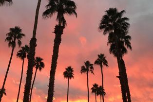 Condominium, 45555 Pueblo rd, Indian Wells, CA 92210 - 58