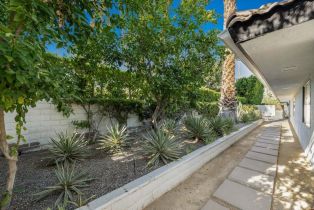 Single Family Residence, 505 Camino Real, Palm Springs, CA 92262 - 40