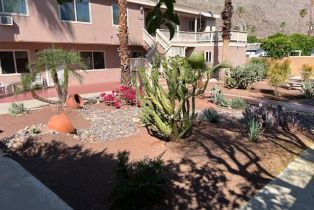 Single Family Residence, 243 Avenida Ortega, Palm Springs, CA 92264 - 3
