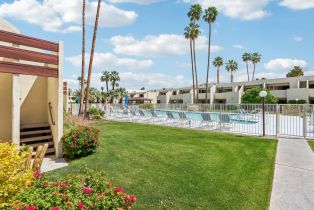 Condominium, 1655 Palm Canyon dr, Palm Springs, CA 92264 - 26