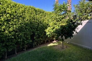 Condominium, 1602 Sunflower ct, Palm Springs, CA 92262 - 15