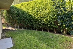 Condominium, 1602 Sunflower ct, Palm Springs, CA 92262 - 16