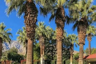 Condominium, 2801 Los Felices cir, Palm Springs, CA 92262 - 29