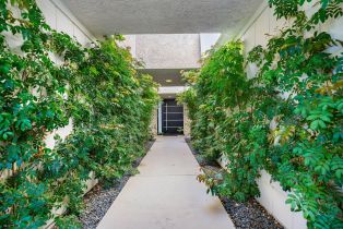 Single Family Residence, 21 Dartmouth dr, Rancho Mirage, CA 92270 - 37