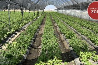 Land, 78100 Harrison St, Thermal, CA  Thermal, CA 92274