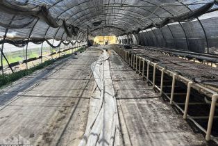 , 78100 Harrison st, Thermal, CA 92274 - 23