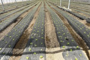 , 78100 Harrison st, Thermal, CA 92274 - 38