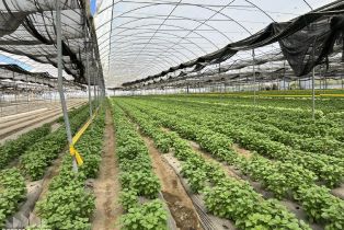 , 78100 Harrison st, Thermal, CA 92274 - 39