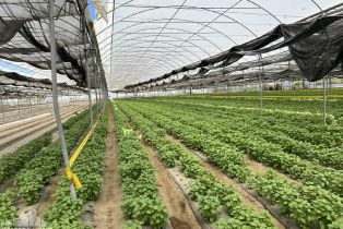 , 78100 Harrison st, Thermal, CA 92274 - 40