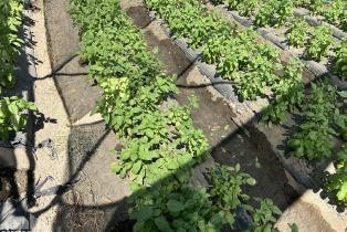 , 78100 Harrison st, Thermal, CA 92274 - 44