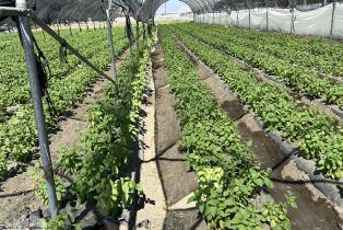 , 78100 Harrison st, Thermal, CA 92274 - 45