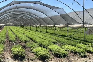 , 78100 Harrison st, Thermal, CA 92274 - 46