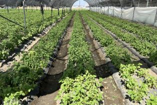 , 78100 Harrison st, Thermal, CA 92274 - 48