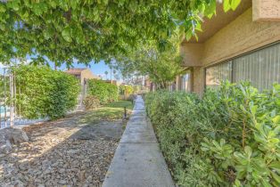 Condominium, 2428 Los Coyotes dr, Palm Springs, CA 92264 - 26