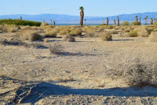 , 1372 Sandalwood st, Thermal, CA 92274 - 5