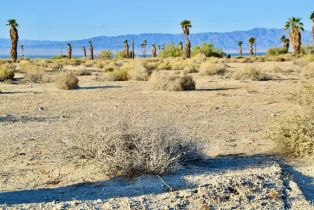 , 1376 Sandalwood st, Thermal, CA 92274 - 3