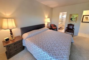 Condominium, 1456 Tiffany cir, Palm Springs, CA 92262 - 10