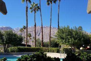 Condominium, 1456 Tiffany cir, Palm Springs, CA 92262 - 17
