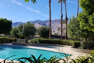 Condominium, 1456 Tiffany cir, Palm Springs, CA 92262 - 19