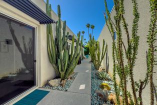 Single Family Residence, 743 Twin Palms dr, Palm Springs, CA 92264 - 10