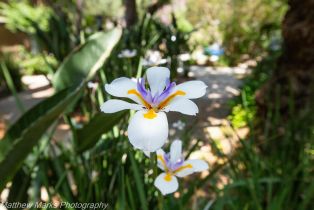 Condominium, 6229 Green Valley cir, Culver City, CA 90230 - 21