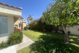 Single Family Residence, 11 Mission Palms dr, Rancho Mirage, CA 92270 - 29