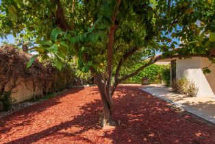 Condominium, 53 Colgate dr, Rancho Mirage, CA 92270 - 28