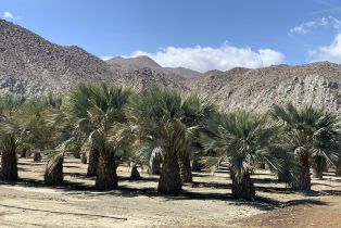 , 82501 65th ave, Thermal, CA 92274 - 11