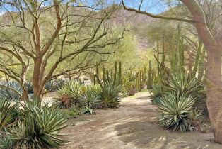 , 82501 65th ave, Thermal, CA 92274 - 12