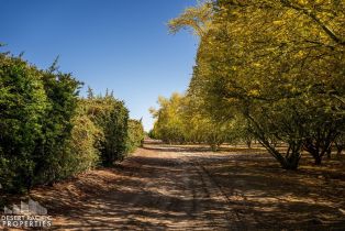 , 82501 65th ave, Thermal, CA 92274 - 43