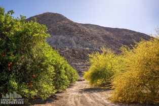 , 82501 65th ave, Thermal, CA 92274 - 45