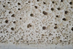 , 57 Norman ave, Desert Hot Springs, CA 92240 - 18