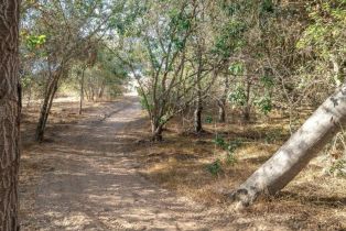 Single Family Residence, 4782 Sleeping Indian rd, Fallbrook, CA 92028 - 6