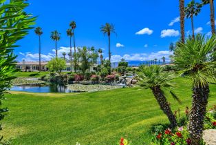 Single Family Residence, 44140 Lakeside dr, Indian Wells, CA 92210 - 63
