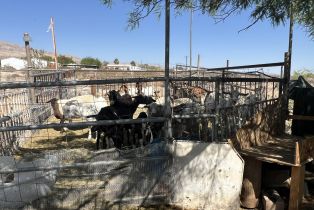 Single Family Residence, 21130 Hot Springs rd, Desert Hot Springs, CA 92241 - 20