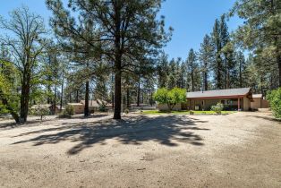 Single Family Residence, 59341 Courtesy dr, Mountain Center, CA 92561 - 4