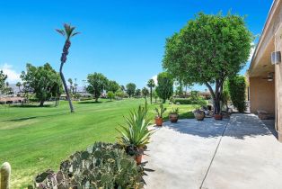 Single Family Residence, 42414 Adams Street st, Bermuda Dunes, CA 92203 - 3