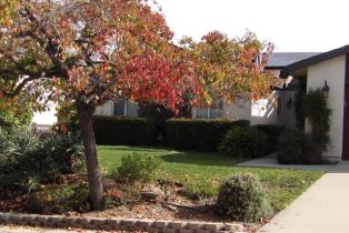 Single Family Residence, 200 Marjori AVE, Newbury Park, CA  Newbury Park, CA 91320