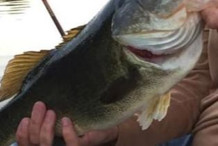 , 2026 Lakeshore dr, Agoura Hills, CA 91301 - 13