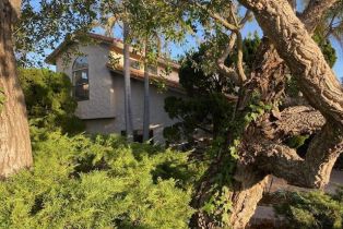 Single Family Residence, 1842 Calle Petaluma, Thousand Oaks, CA 91360 - 8
