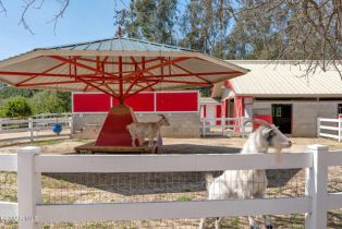 Single Family Residence, 9332 Stockton rd, Moorpark, CA 93021 - 47