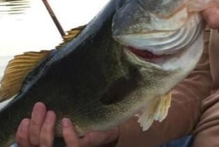 , 2411 Highpoint dr, Agoura Hills, CA 91301 - 14