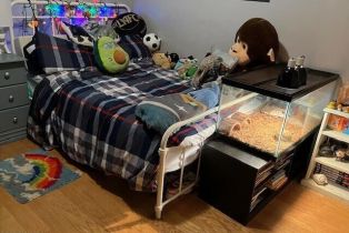 Single Family Residence, 1076 Calle Contento, Thousand Oaks, CA 91360 - 8