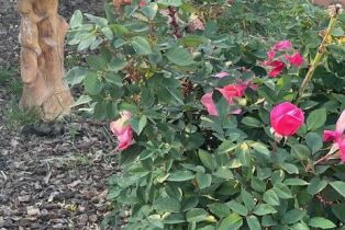 Single Family Residence, 2675 Lembert st, Simi Valley, CA 93065 - 32